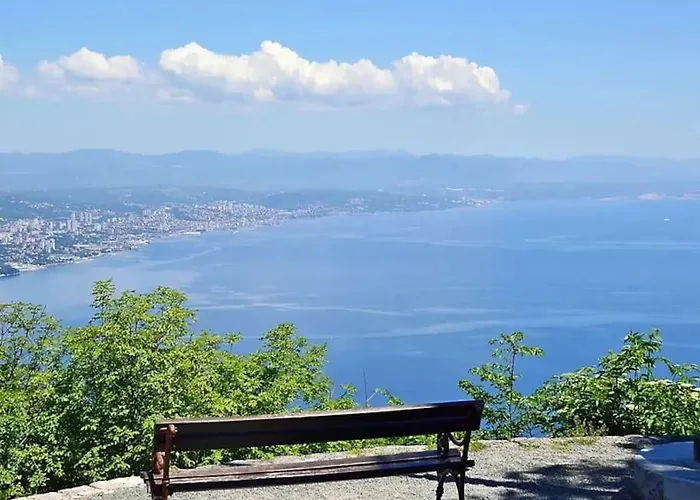 Vilă Casa Brituh Opatija Veprinac